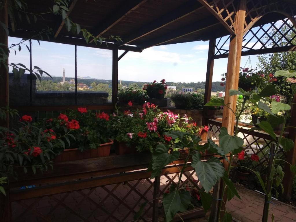 Apartmany Zatec Exteriör bild