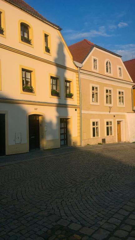 Apartmany Zatec Exteriör bild